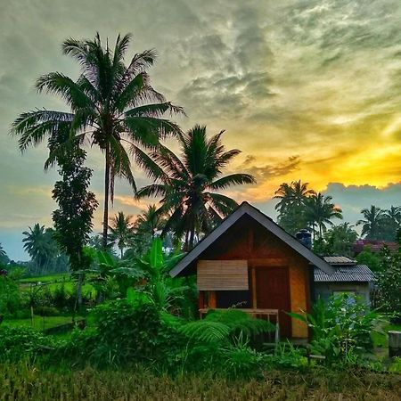 Citra Homestay Tetebatu Exteriér fotografie