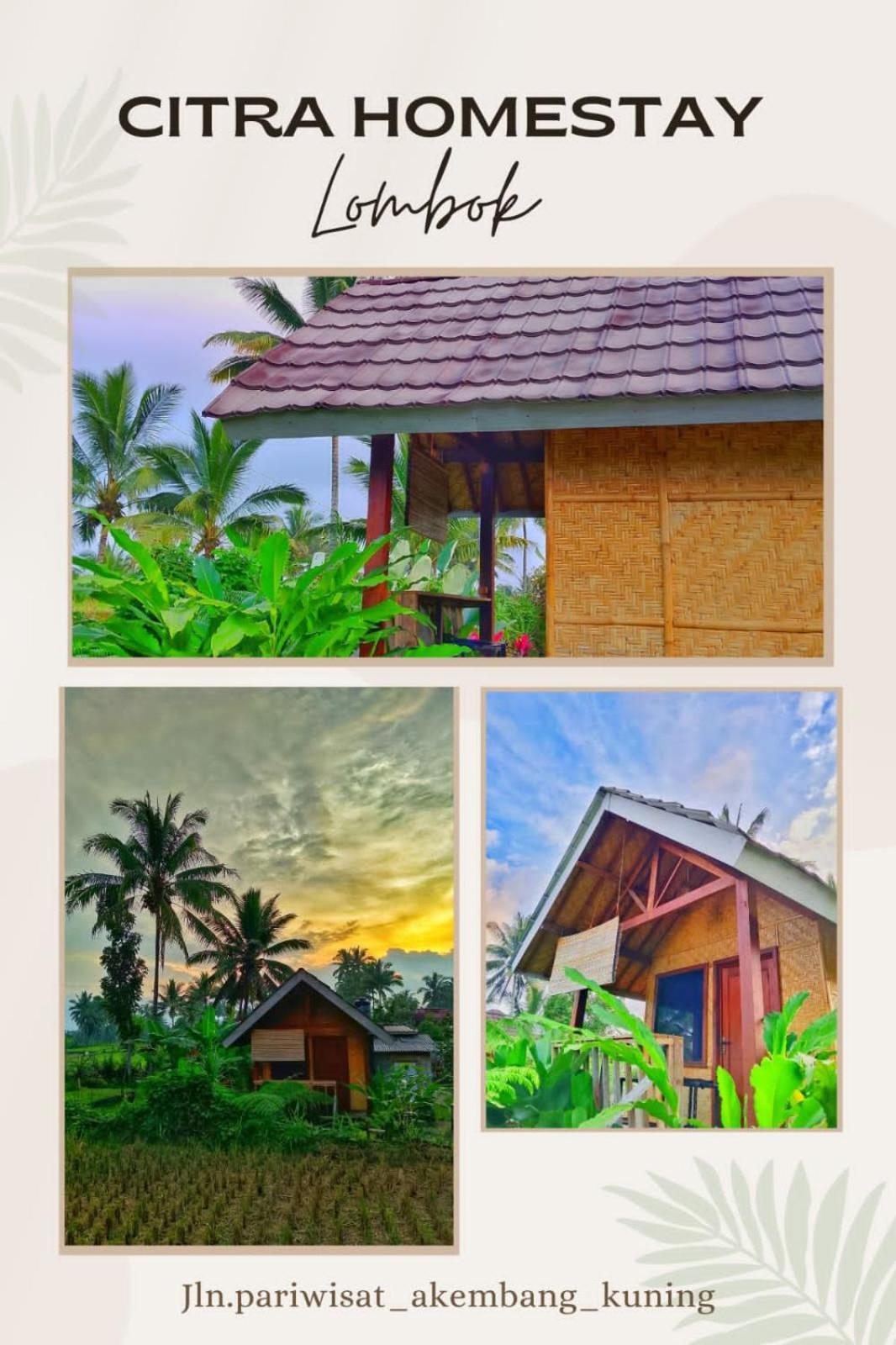 Citra Homestay Tetebatu Exteriér fotografie