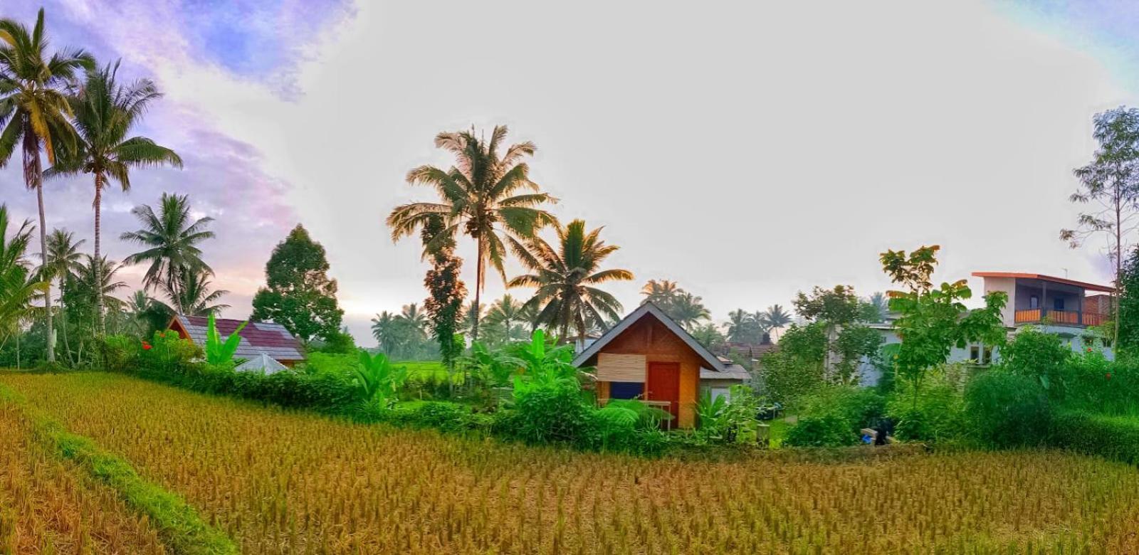 Citra Homestay Tetebatu Exteriér fotografie