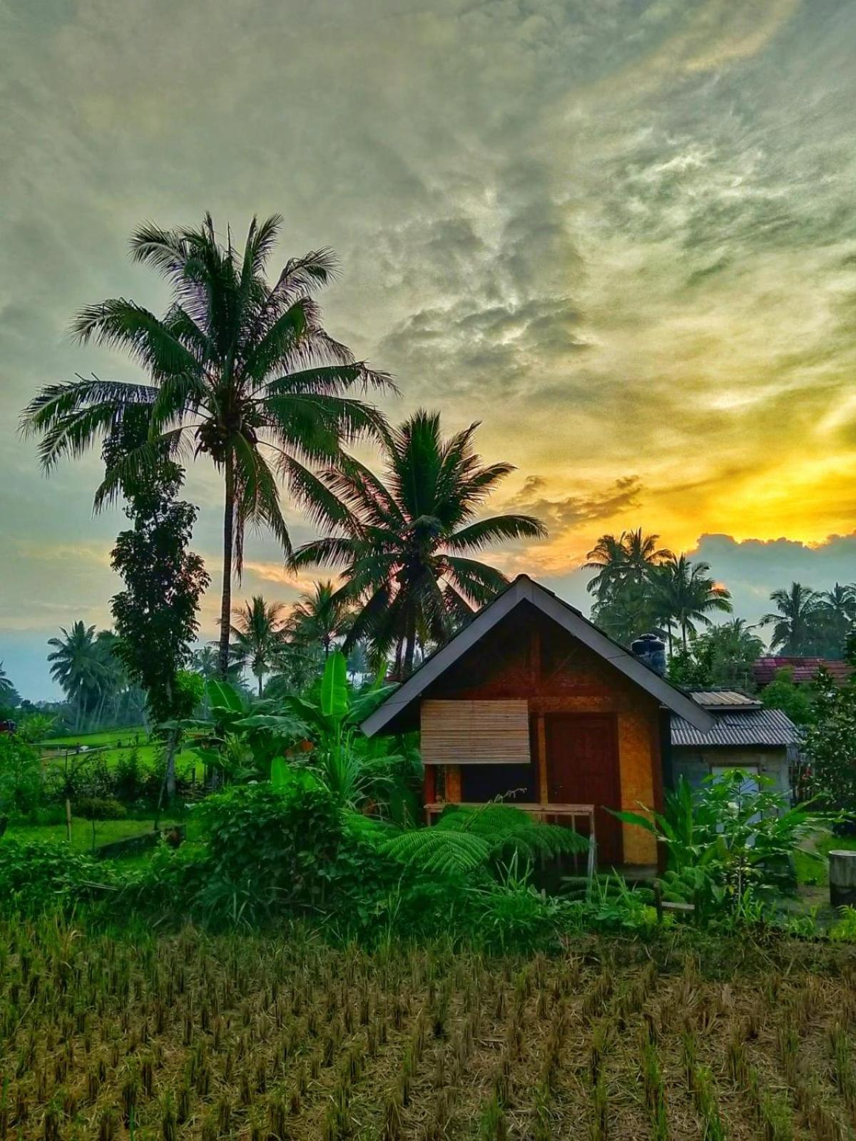 Citra Homestay Tetebatu Exteriér fotografie
