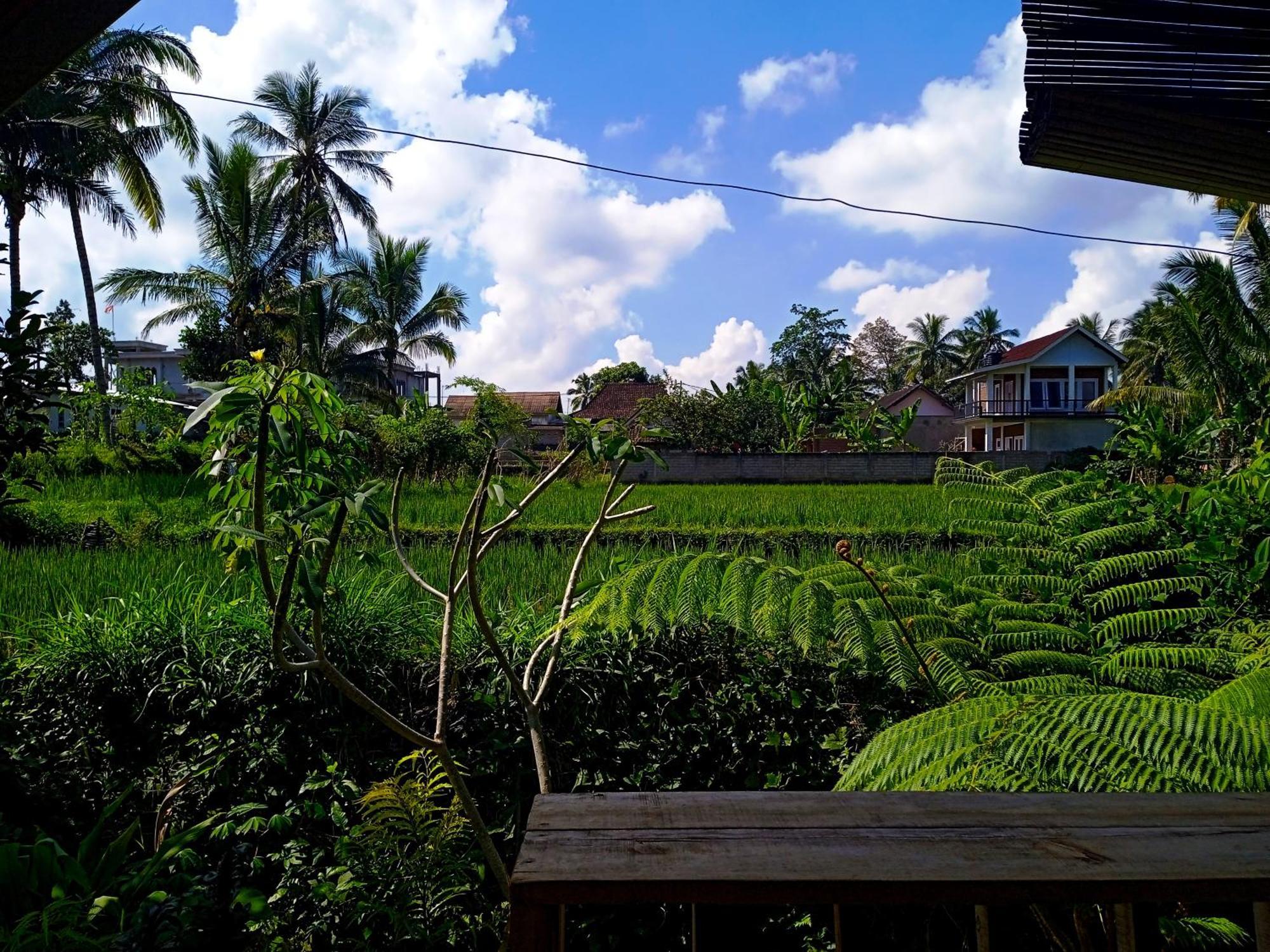 Citra Homestay Tetebatu Exteriér fotografie