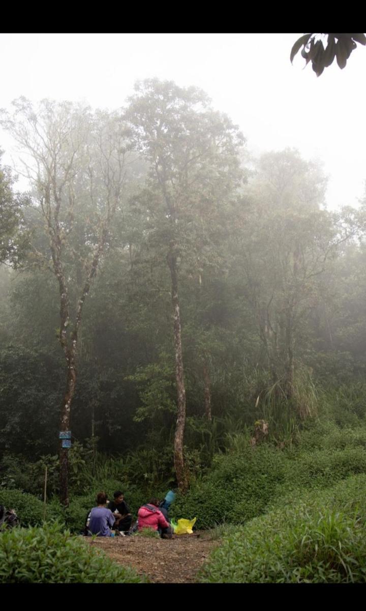 Citra Homestay Tetebatu Exteriér fotografie