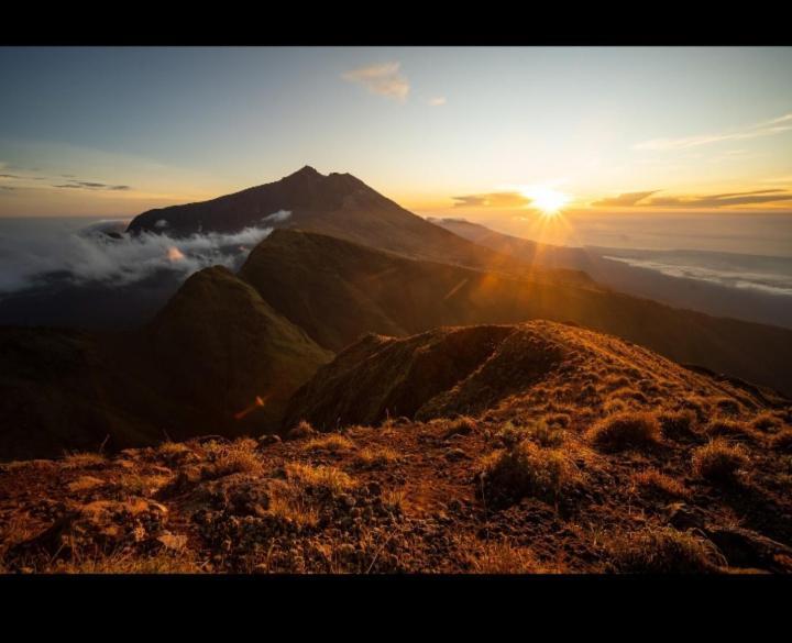 Citra Homestay Tetebatu Exteriér fotografie
