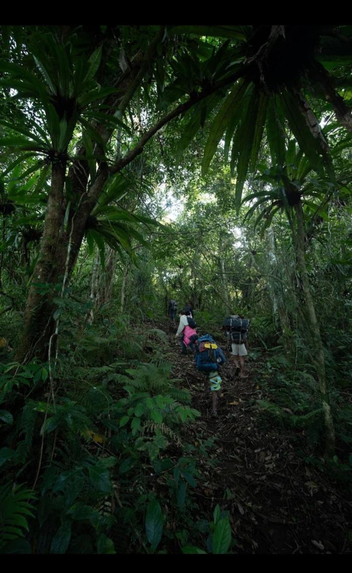 Citra Homestay Tetebatu Exteriér fotografie