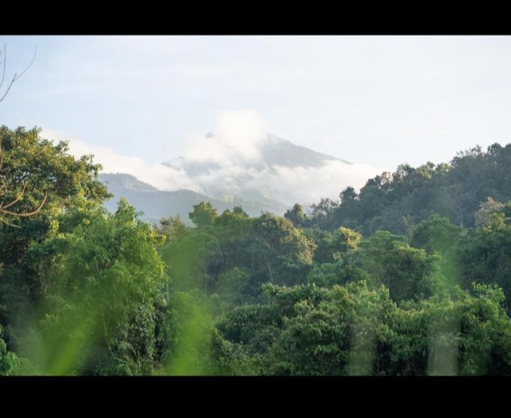 Citra Homestay Tetebatu Exteriér fotografie
