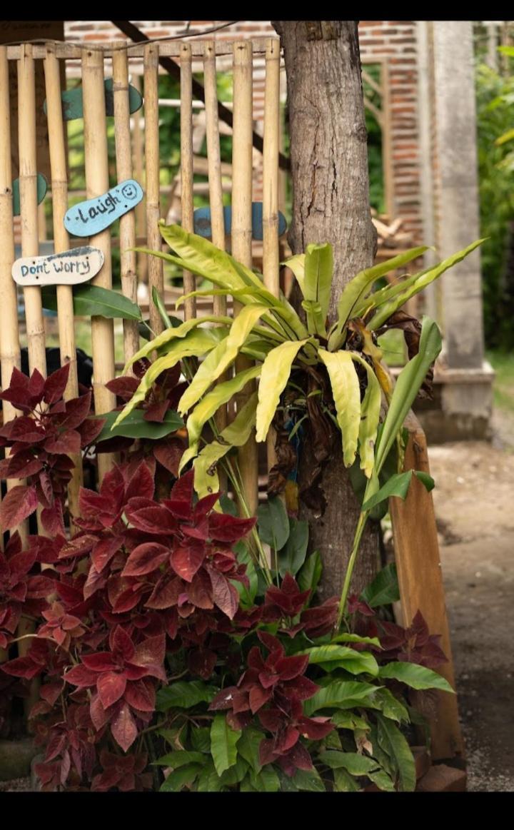 Citra Homestay Tetebatu Exteriér fotografie