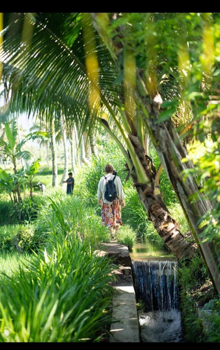 Citra Homestay Tetebatu Exteriér fotografie