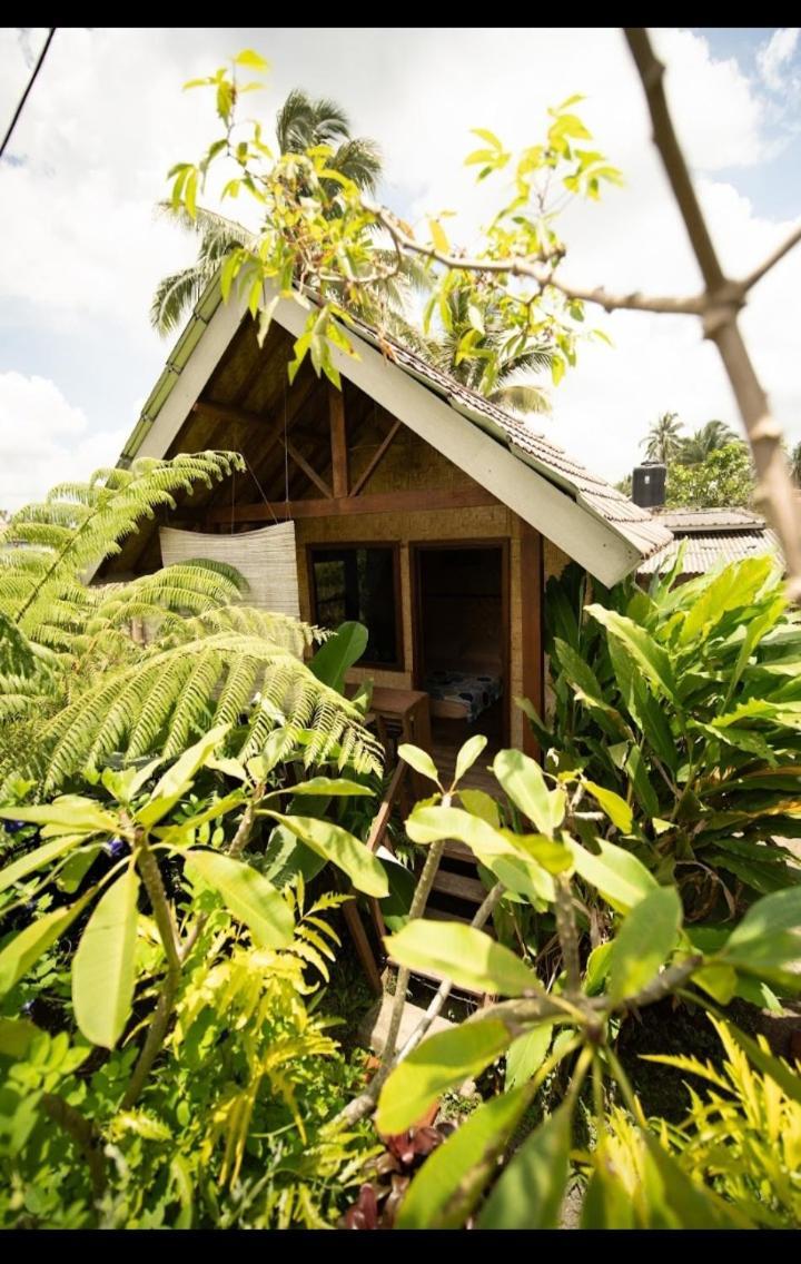 Citra Homestay Tetebatu Exteriér fotografie