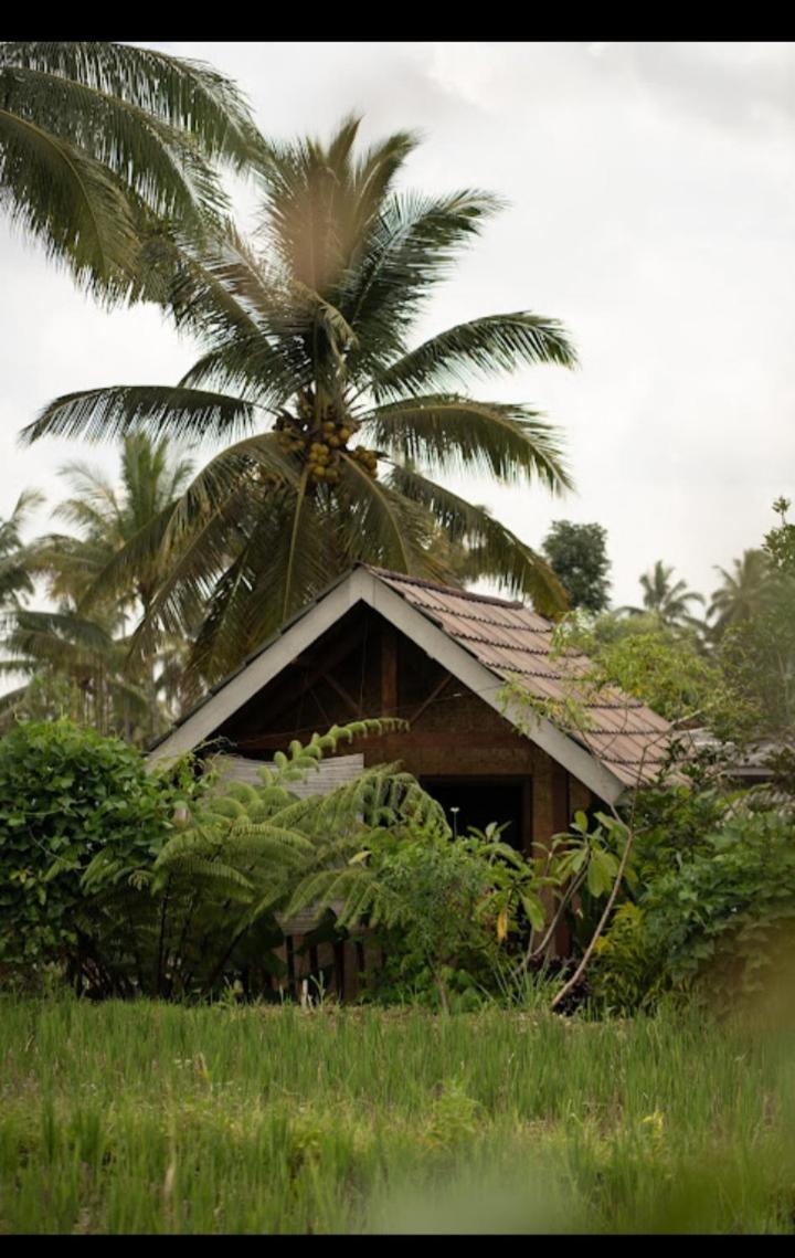 Citra Homestay Tetebatu Exteriér fotografie