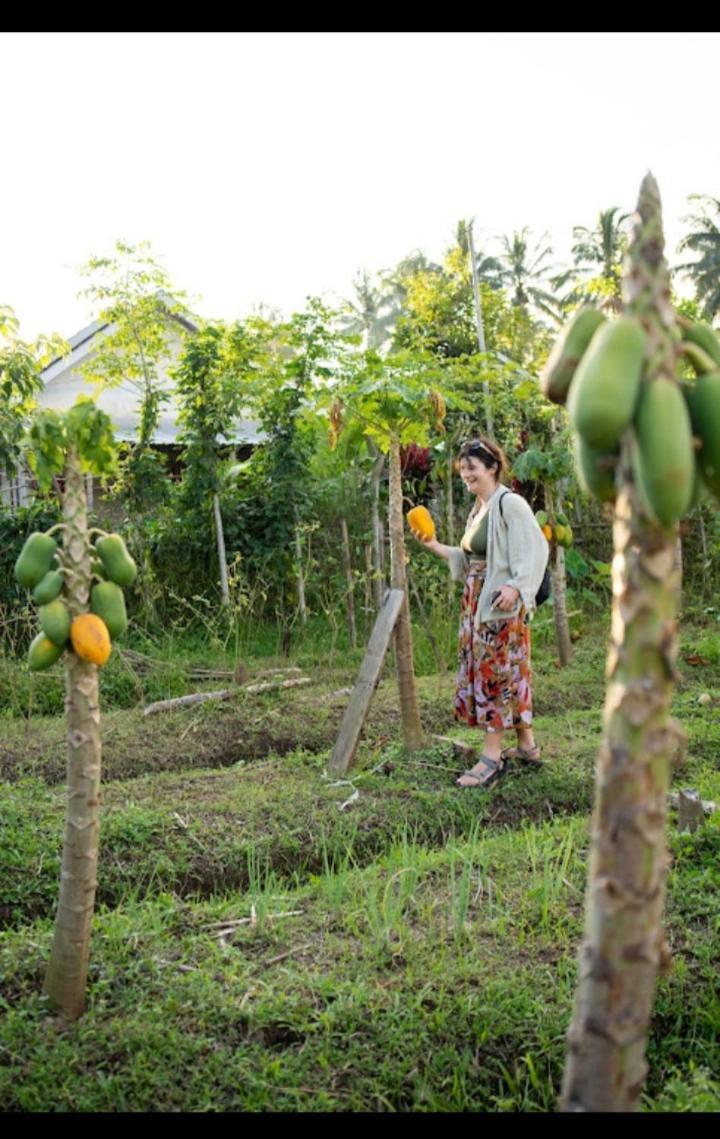 Citra Homestay Tetebatu Exteriér fotografie