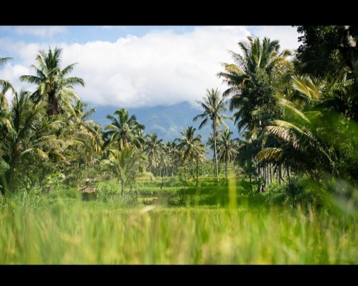 Citra Homestay Tetebatu Exteriér fotografie